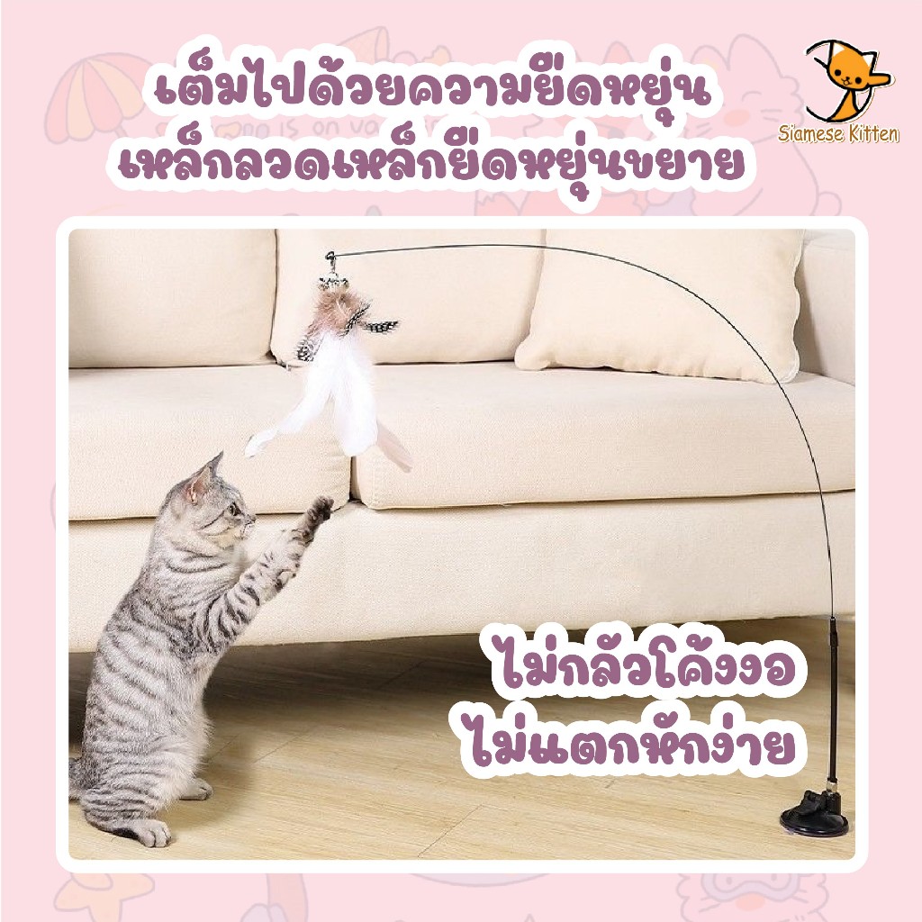 🐱ของเล่นแมว แท่งทีเซอร์แมว สามารถถือด้วยมือและดูดซับได้ ไม้ล่อแมว แบบสปริง ของเล่น ที่ตกแมว ลวดสลิง🐱