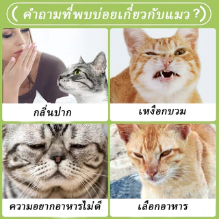 PET LIFE ขนมบิสกิตแมวทำความสะอาดฟันสำหรับของว่าง 60 กรัมของอาหารสัตว์เลี้ยงบดฟันบิสกิตขนาดเล็ก