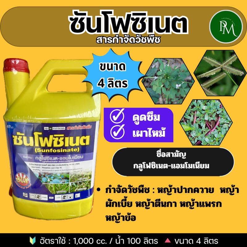 🔥 ซันโฟซิเนต ขนาด 4 ลิตร กลูโฟซิเนต แอมโมเนียม#กำจัดได้ทั้งหญ้าใบแคบและหญ้าใบกว้างตายเรียบทุกชนิด เผาไหม้