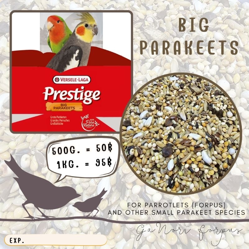 อาหารนก อาหารนกแก้ว ธัญพืชนกแก้ว PRESTIGE BIG PARAKEETS - FORPUS PARROTLETS (500 G./1 KG.)