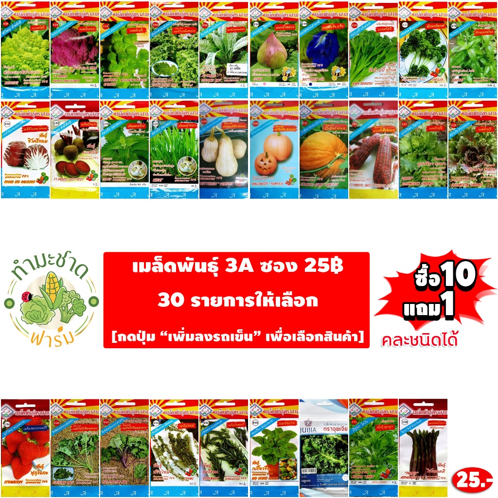 3A 25฿ [10แถม1] เมล็ดพันธุ์ ผักสวนครัว 3A เม็ดผัก กะหล่ำดาว คะน้าเคล เคล บีทรูท ไธม์ โรสแมรี่ Kale ดอกบัว อัญชัญ ฟักทอง