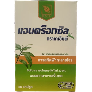 Androxsilแอนดร็อกซิล ฟ้าทะลายโจรสกัด KMP แก้วมังกรเภสัช 30แคปซูล ,45แคปซูล,แบบแผง10x10