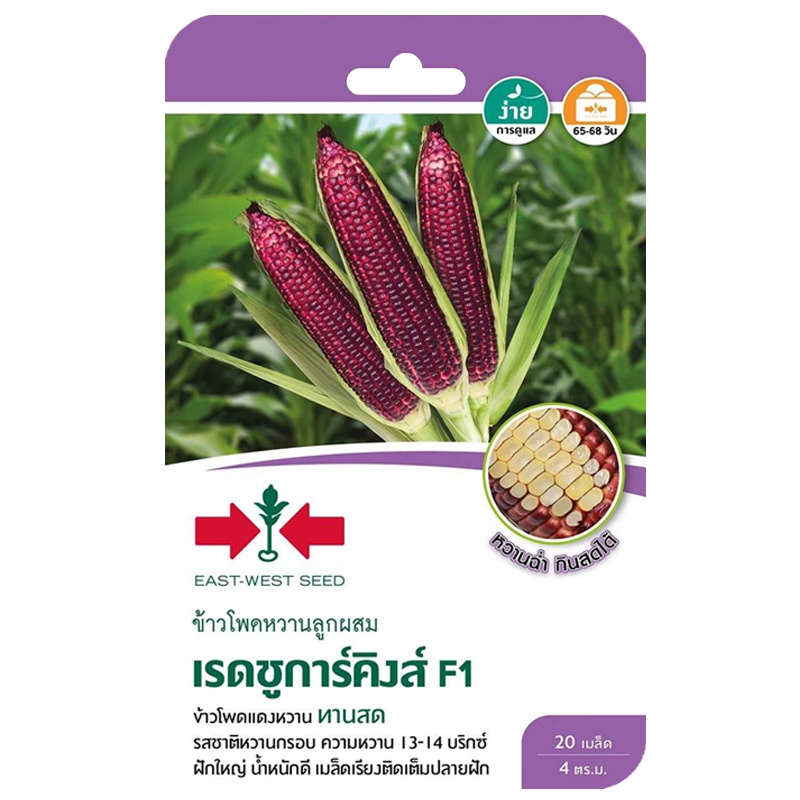 เมล็ดข้าวโพดหวาน เรดชูการ์คิง