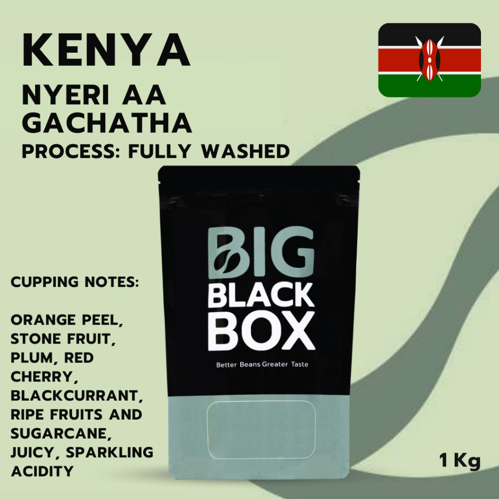 (S-KEN-041) สารกาแฟ Kenya Nyeri AA Gachatha   Fully Washed  1kg