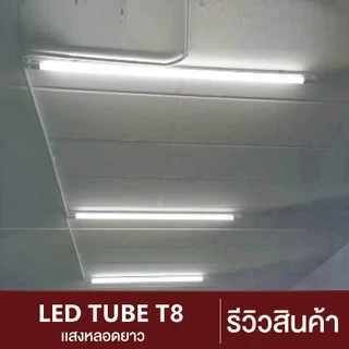 ชุด 30 หลอด หลอดไฟ LED T8 10W 20W 60cm 22W, 32W, 50W 120cm แพนจัง แสงสีขาว Daylight 6500K