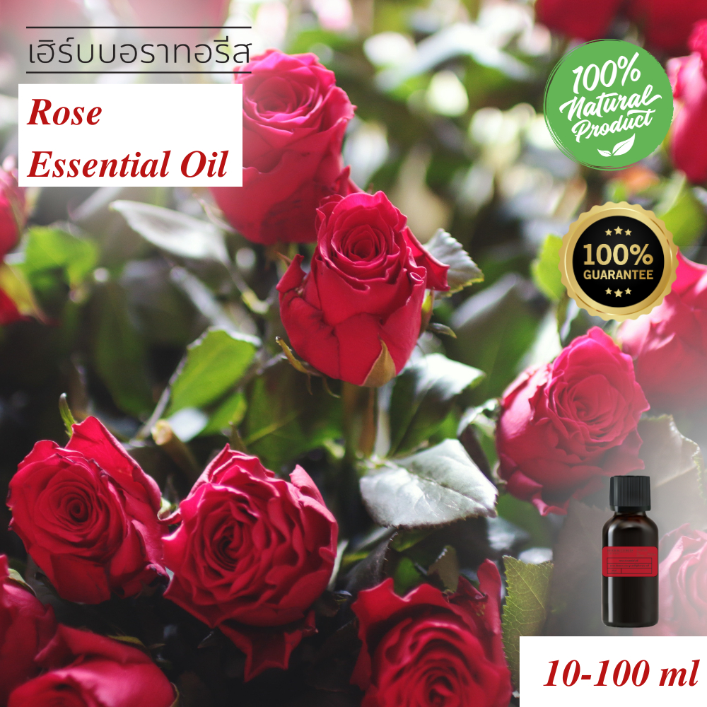 100 % Pure Rose essential Oil - 100% น้ำมันหอมระเหยสกัดจากดอกกุหลาบ จากประเทศอินเดีย - รูปที่ 2