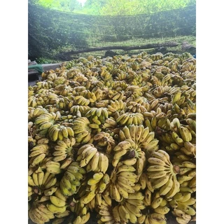 กล้วยตาก**แบน**🔥((ขนาด 1kg.))🔥หวานธรรมชาติ100%