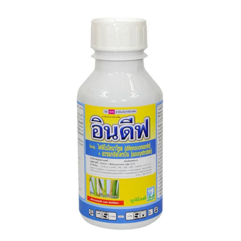 อินดีฟ 500cc จบทุกปัญหาเชื้อราในพืช🌱👍