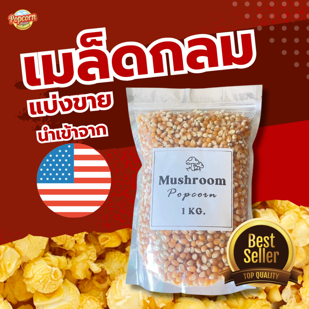 เมล็ดป๊อปคอร์นเมล็ดกลมMushroomเกรดพรีเมียม