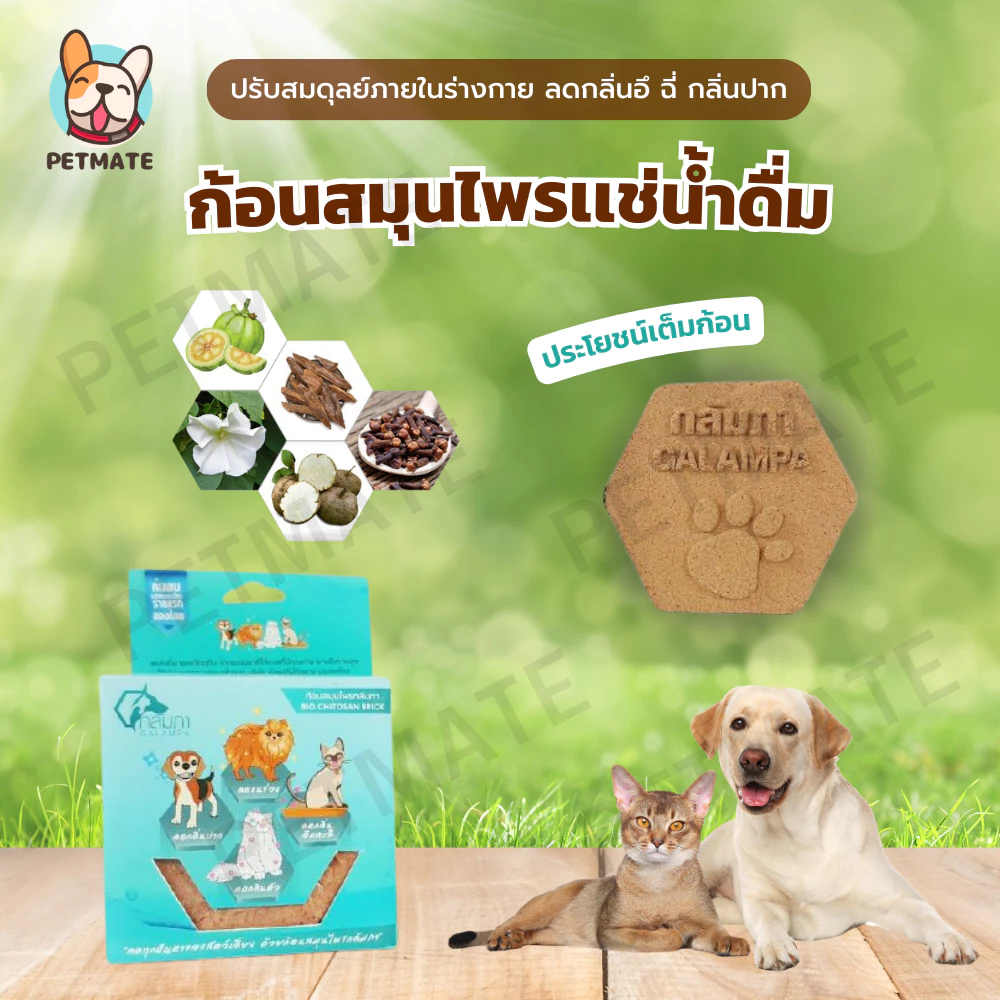 Kalampa ก้อนสมุนไพรแช่น้ำดื่มสำหรับสุนัขและแมว ช่วยให้สัตว์เลี้ยงกินน้ำมากขึ้น ปรับสมดุลร่างกาย