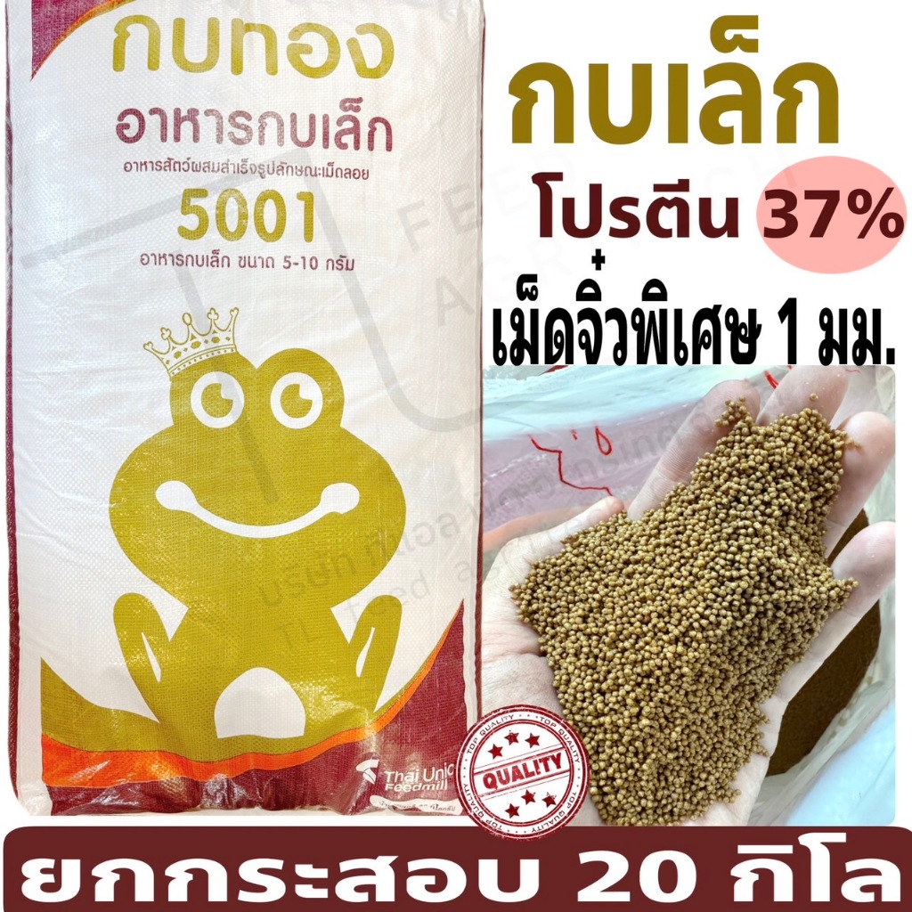 อาหารกบ 5001 กบเล็ก เม็ด จิ๋ว 1 มม. ตรา กบทอง อาหารโปรตีนสูง 37% ยกกระสอบ ( 20 kg. )