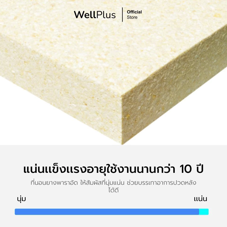 WellPlus ที่นอนยางพาราแท้ รุ่น Pollux ขนาด 3 3.5 5 6 ฟุต thumbnail 5