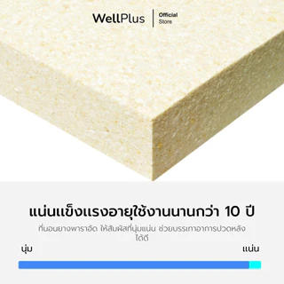 WellPlus ที่นอนยางพาราแท้ สัมผัสแน่นแข็ง รุ่น Pollux รองรับสรีระได้ดี ลดสาเหตุของการปวดหลัง ขนาด 3 3.5 ฟุต 5 ฟุต 6 ฟุต