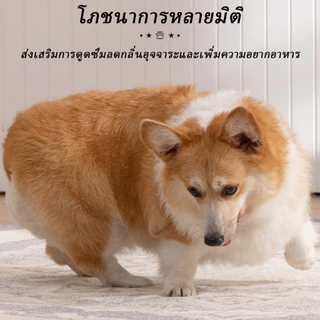 อาหารเปียกแบบกระป๋อง อาหารกระป๋องแบบเปียกสำหรับสุนัข ขนาด 430 กรัม อาหารสุนัขออร์แกนิก ครบถ้วนตามโภชนาการของสุนัข