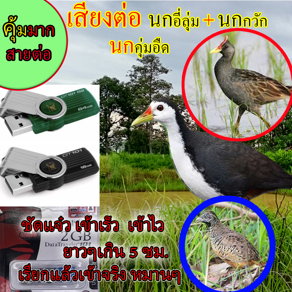 เสียงต่อ เสียงร้อง รวมเสียงนก 3เสียงในแฟลไดร์สุดคุ้มมากๆ เสียงยาวๆ ไม่มีโฆษณา เสียงละ 5 ซม