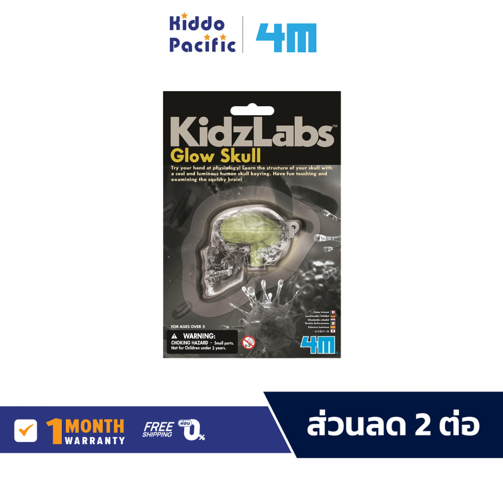 4M Mini Kidzlabs Glow Skull ชุดของเล่น วิทยาศาสตร์ จำลองโครงสร้างกระโหลก สำหรับ เด็ก 8 ปีขึ้นไป