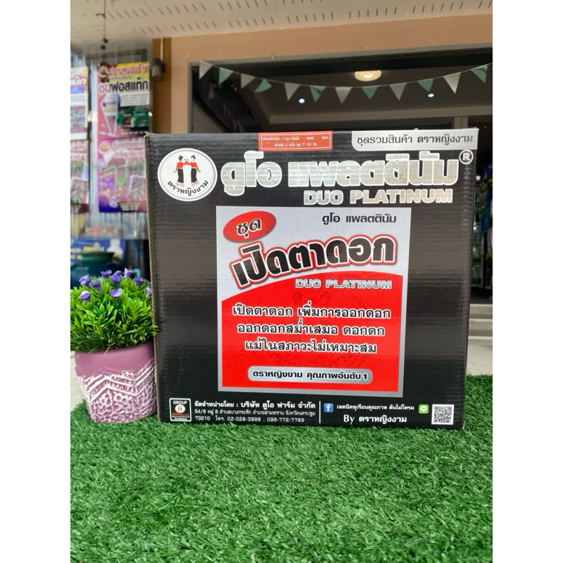 ชุดเปิดตาดอก หญิงงาม ดูโอแพลตตินัม เปิดตาดอก เพิ่มการออกดอก ออกดอกสม่ำเสมอ