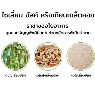 ขายดี🔥ไซเลียมฮัสค์ แบบเกล็ด 100% ช่วยปรับสมดุลลำไส้ระบบขับถ่ายแก้อาการท้องผูก Psyllium Husk แบรนด์Sukkaii [ขนาด.100g ]