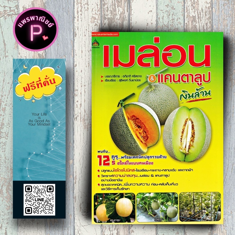 หนังสือ ราคา 155 บาท เมล่อน & แคนตาลูป เงินล้าน : ผลไม้ พืชและการเกษตร การปลูกผลไม้ พืชเศรษฐกิจ