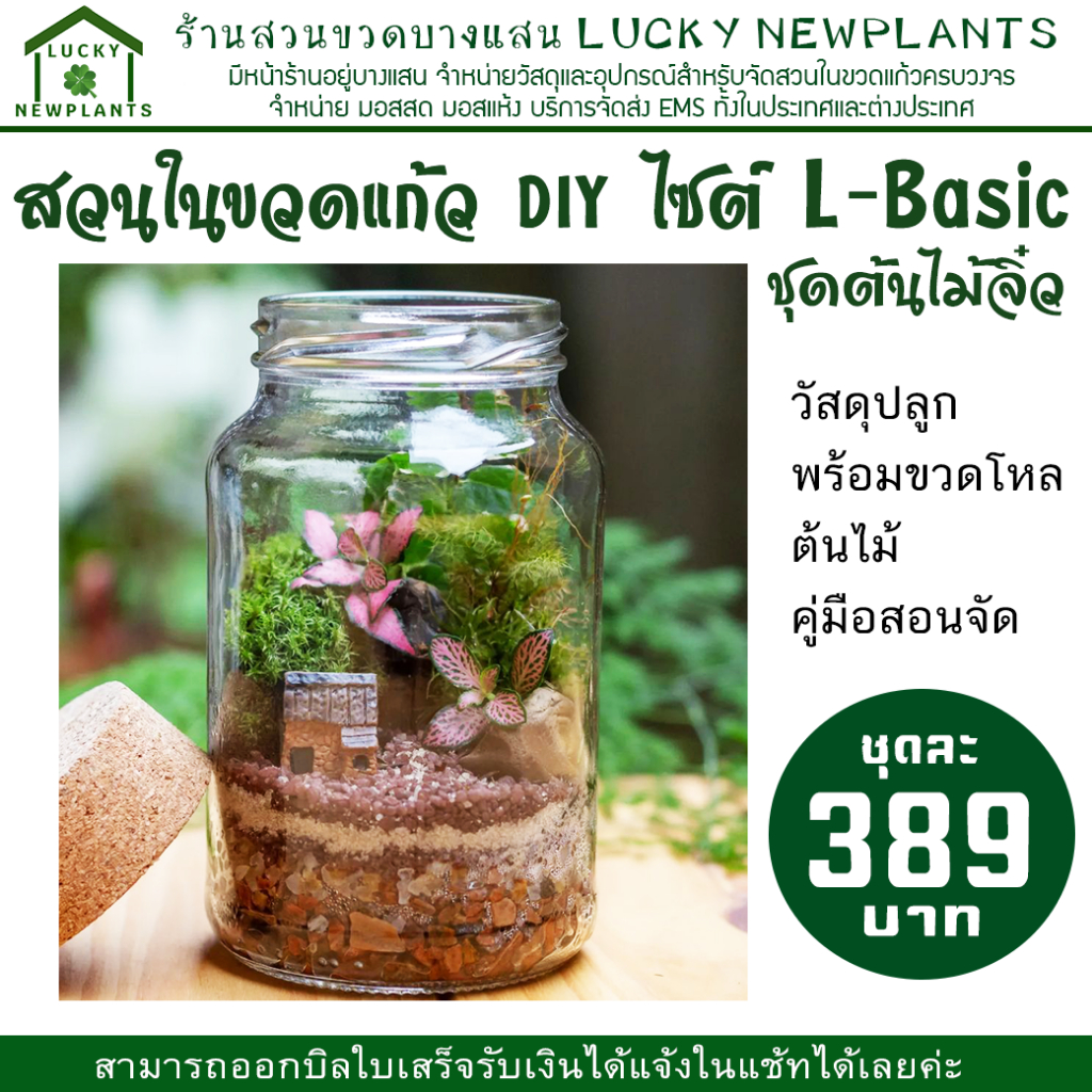 ชุดจัดสวนขวด DIYชุดจัดสวนในขวดแก้ว ไซต์ L-Basic 389 บาท