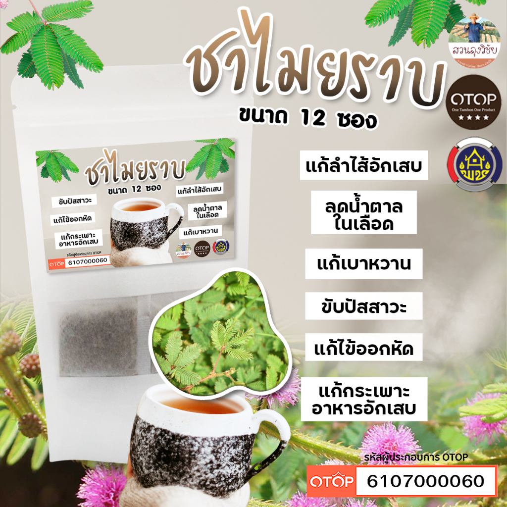 ชาสมุนไพรอบแห้ง ไมยราบ ชาไมยราบ ขนาด 12 ซอง จัดส่งไว