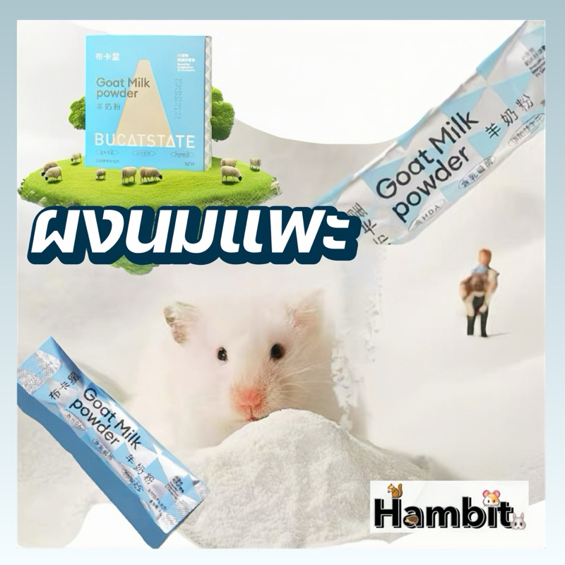 Hambit. ผงนมแพะสำหรับสัตว์เลี้ยง สัตว์ฟันแทะ นมแฮมเตอร์ ชูการ์ไกรเดอร์ กระรอก ขนาดซอง 5 กรัม