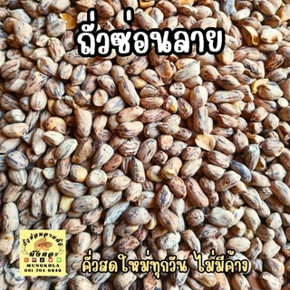 มังคละ ถั่วซ่อนลายแม่ฮ่องสอน 1000 กรัม (คัดเกรดพิเศษ) คั่วใหม่ หอม กรอบ หวานธรรมชาติ พร้อมทาน