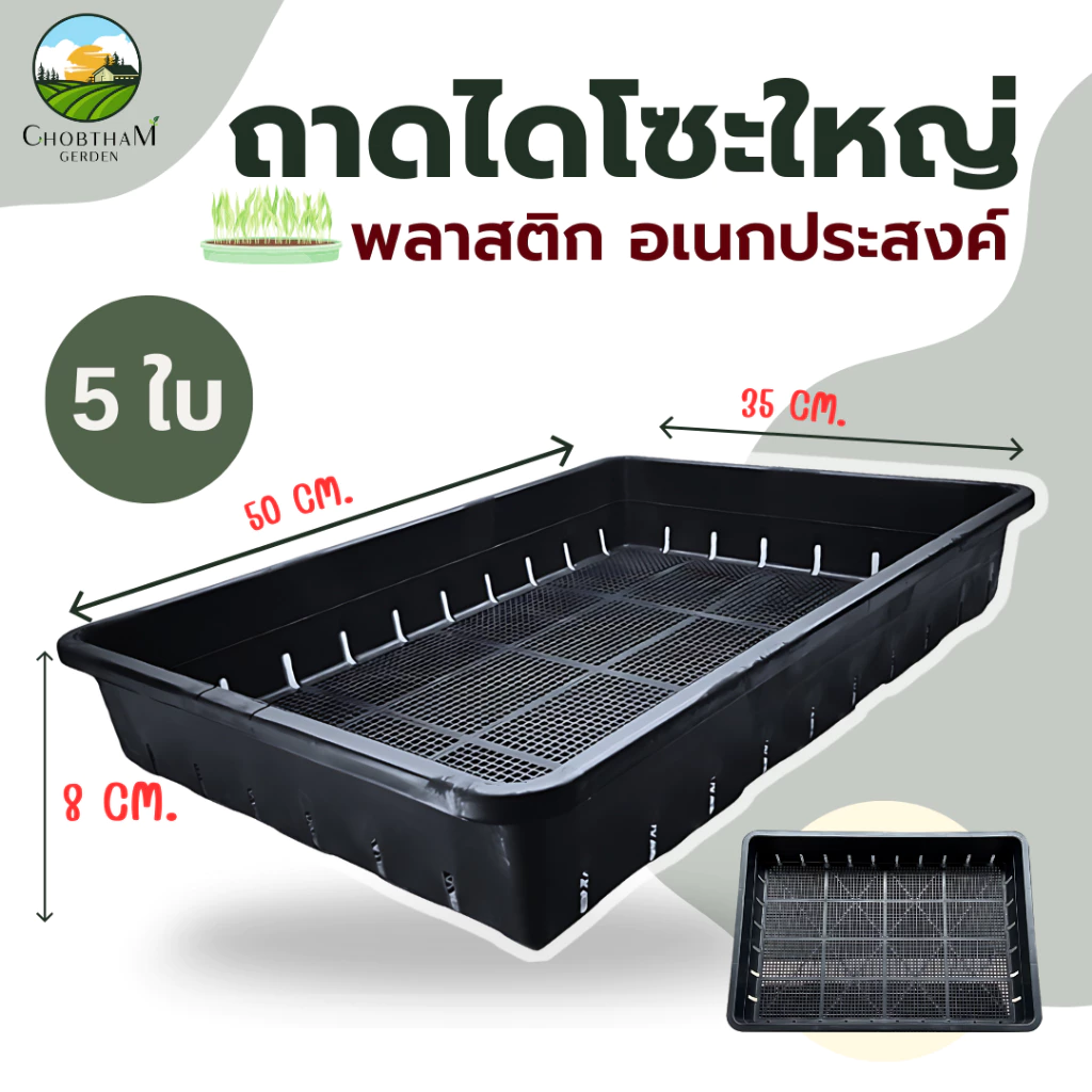 ถาดไดโซะใหญ่ 5 ใบ ถาดเพาะต้นกล้า ต้นอ่อน กระถางแคคตัส