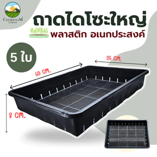 ถาดไดโซะใหญ่ 5 ใบ ถาดเพาะต้นกล้า ต้นอ่อน กระถางแคคตัส