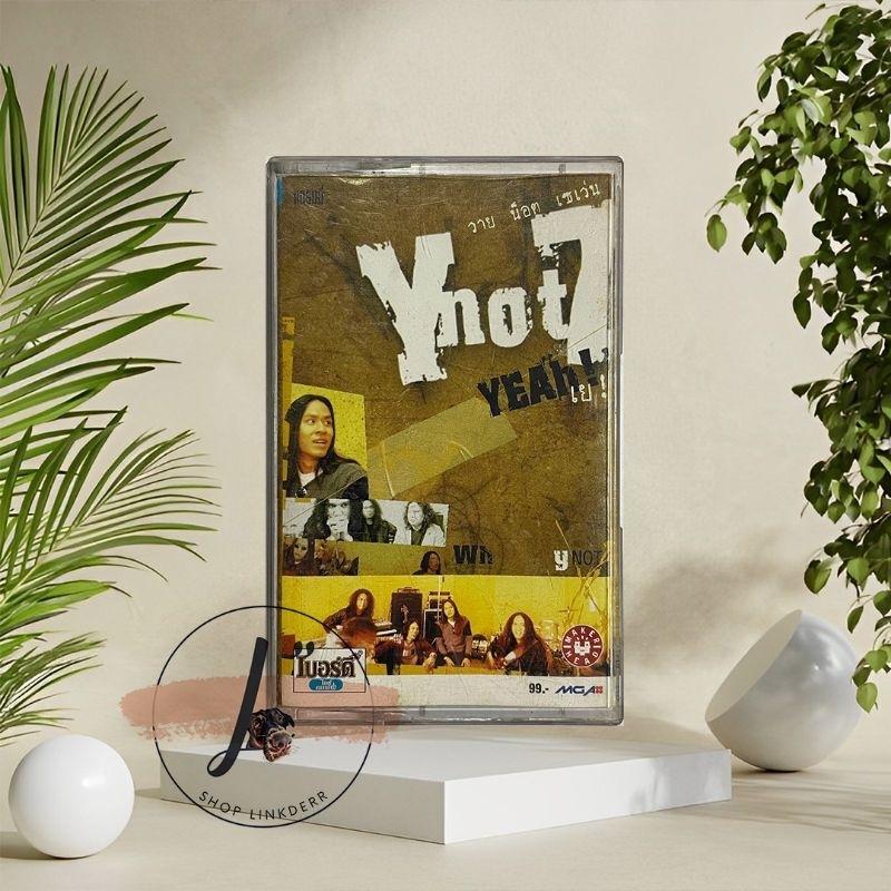 Y Not 7 อัลบั้ม Yeah เทปคาสเซ็ต เทปคาสเซ็ท cassette tape เทปเพลงไทย