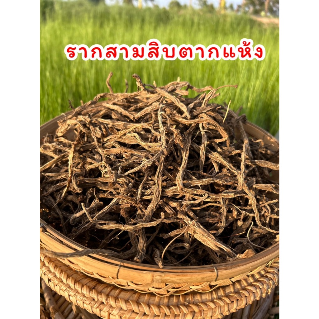รากสามสิบตากแห้ง รากสามสิบแห้ง สมุนไพรรากสามสิบ สินค้าใหม่ ส่งตรงจากเกษตรกร
