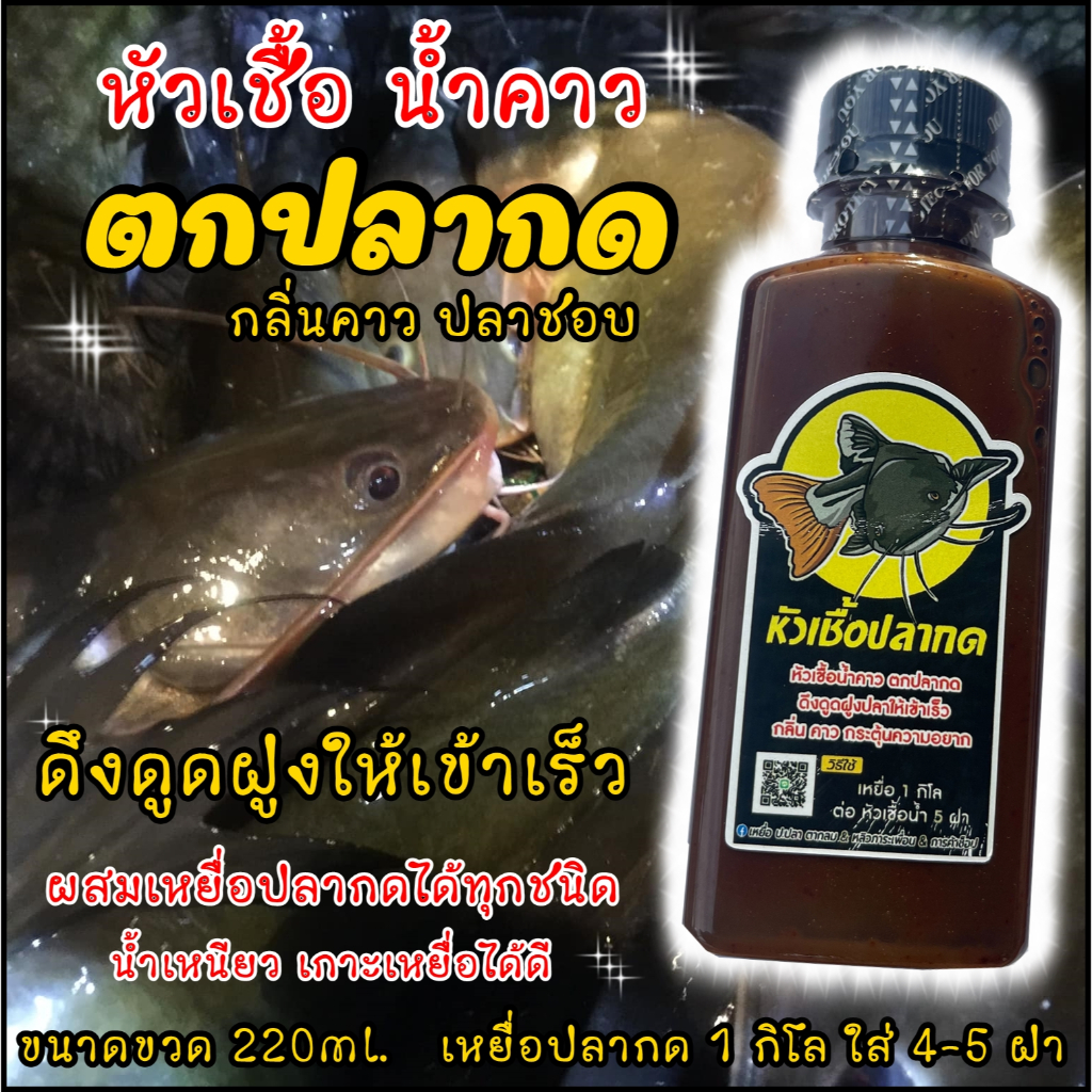หัวเชื้อตกปลากด หมัก เหยื่อปลากด สูตรเข้มข้น กระตุ้นดึงดูดฝูงเข้าเร็ว (ได้ผลดีกว่าเดิม)
