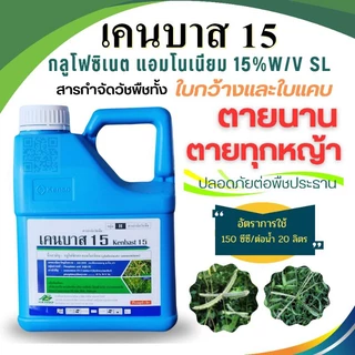 เคน-บาส15(กลูโฟซิเนต-แอมโมเนียม)สารกำจัดวัชพืชทั้งใบกว้างและใบแคบชนิดเผาไหม้+ดูดซึมขนาด4ลิตร