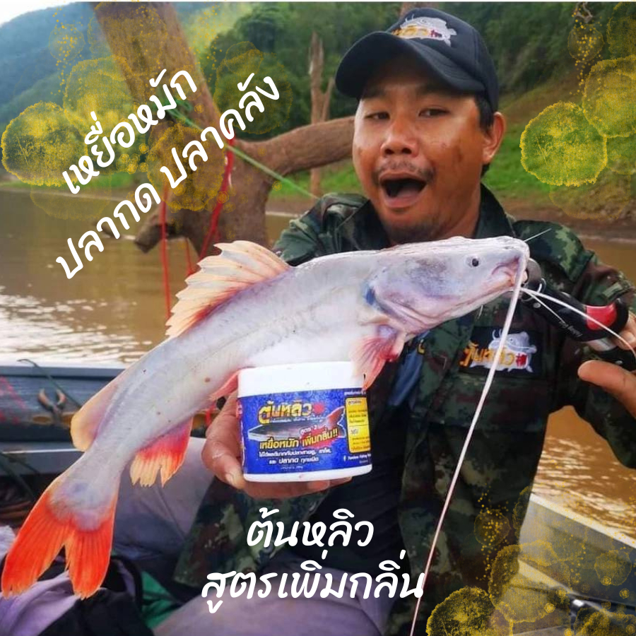 เหยื่อหมักตกปลากดต้นหลิวสูตรเพิ่มกลิ่น สูตรไม่เหม็น ต้นหลิว เหยื่อหมักตกปลากด