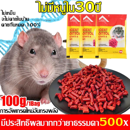 ใช้ครั้งเดียว สิบปีโดยไม่มีหนู ยาเบื่อหนูตายแห้ง50เสิร์ฟ1000g 1แพ็คฆ่าหนู1000เหยื่อกำจัดหนูกำจัดหนูยาฆ่าหนูไล่หนู