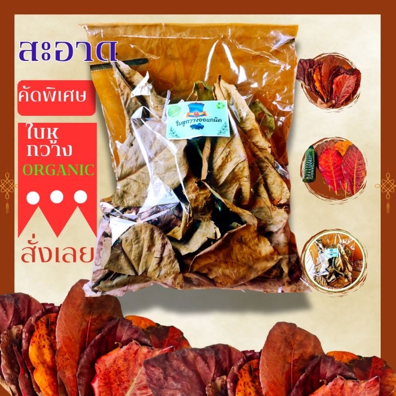 ใบหูกวาง ออแกนิค สะอาด  ปลอดภัย ผ่านการฆ่าเชื้อ  40g