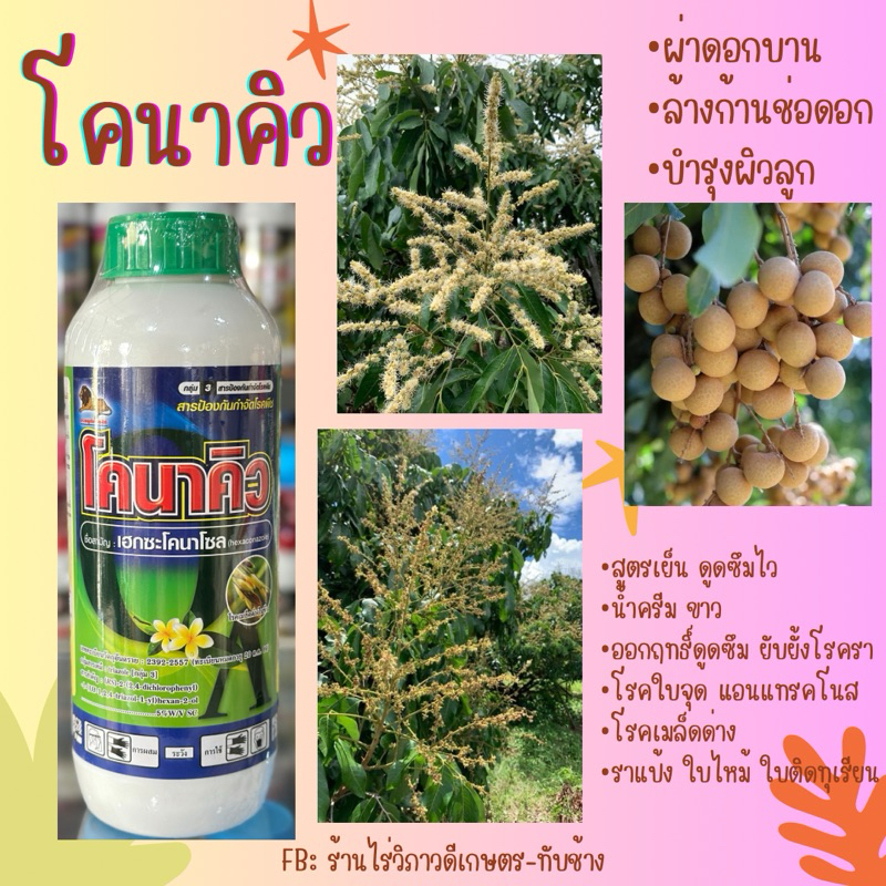 โคนาคิวเฮกซะโคนาโซลสูตรพิเศษน้ำครีมขาว