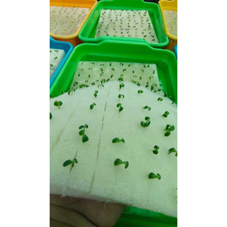 ฟองน้ำสำหรับเพาะเมล็ด แบบละเอียด (1 แผ่นมี 96 หลุม) สำหรับปลูกผักไฮโดรโปนิกส์ - เกษตรกรรมยั่งยืน