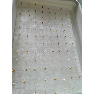 ฟองน้ำสำหรับเพาะเมล็ด แบบละเอียด (1 แผ่นมี 96 หลุม) สำหรับปลูกผักไฮโดรโปนิกส์ - เกษตรกรรมยั่งยืน