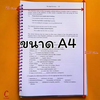 Basic Spanish A Grammar and Workbook หนังสือภาษาสเปนสำหรับผู้เริ่มต้น