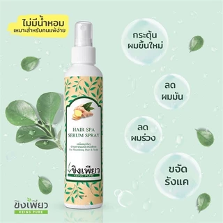 (1แถม1) ขิงเพียว สเปรย์เซรั่มปลูกผม ขนาด 120 ml. ช่วยหยุดปัญหาผมร่วง ผมบาง กระตุ้นให้เกิดการสร้างผมใหม่