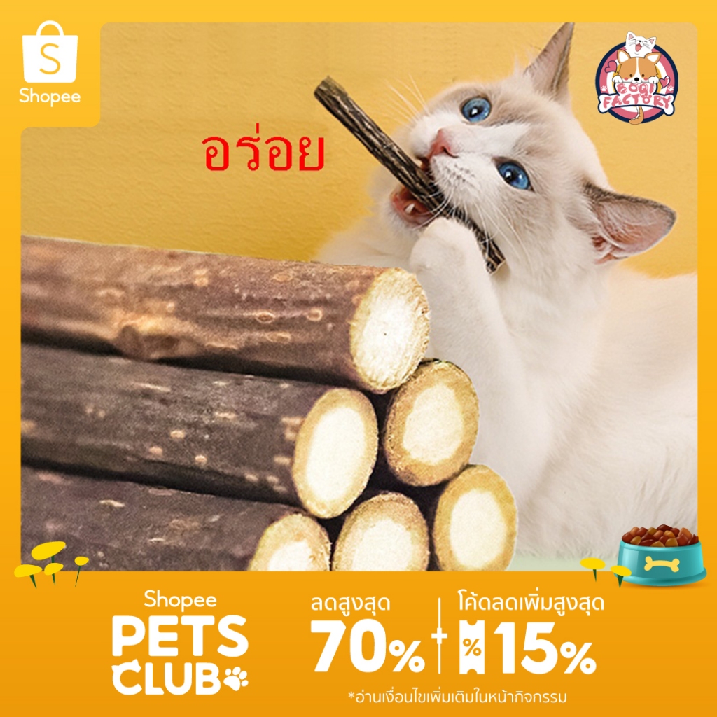 Boqi Factory ไม้มาทาทาบิ ออร์แกนิค ช่วยขัดฟัน ปลอดภัย 100% ช่วยทำให้แมวผ่อนคลาย Boqi Stix