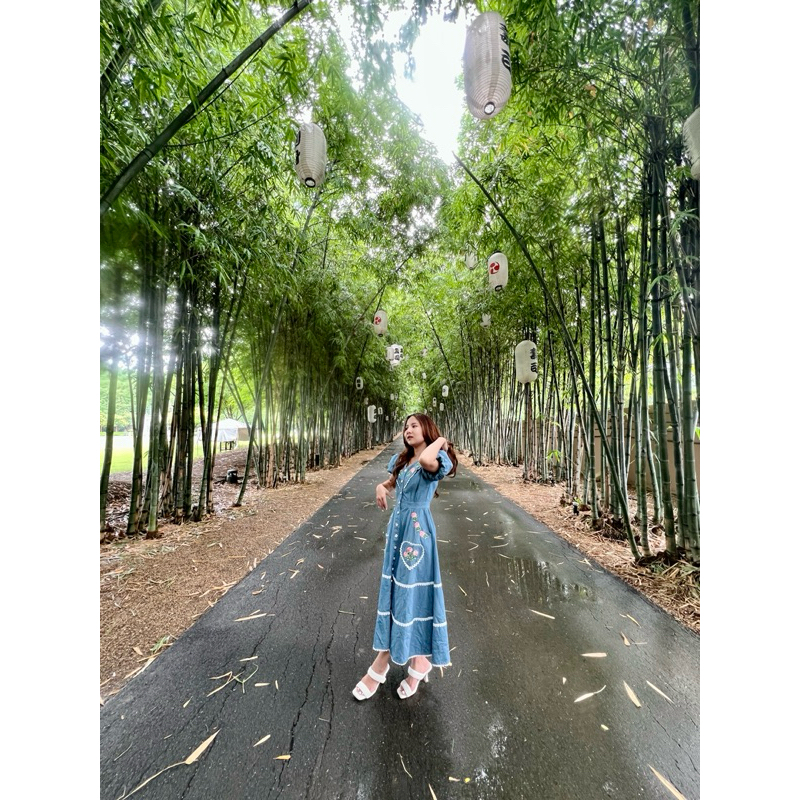 ˘͈ᵕ˘͈ ✦ B131 Notting hill :  Maxi Dress ˘͈ᵕ˘͈ ✦