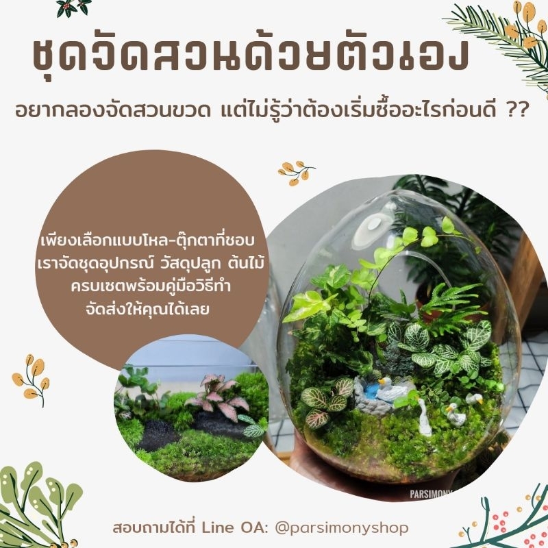 พร้อมส่ง ชุดจัดสวนขวดแก้ว Premium Diy Terrarium ของขวัญ​