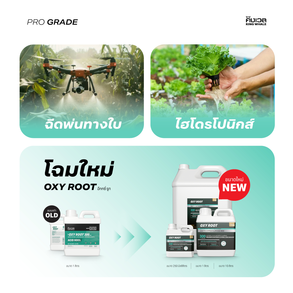 HOCl ACID เข้มข้น 300PPM ยับยั้งเชื้อราไม่ดี และแบคทีเรีย แก้รากเน่า สะอาดปล่อยภัย - OXYROOT อ๊อกซี่รูท (PART-C) | ปุ๋ย - รูปที่ 5