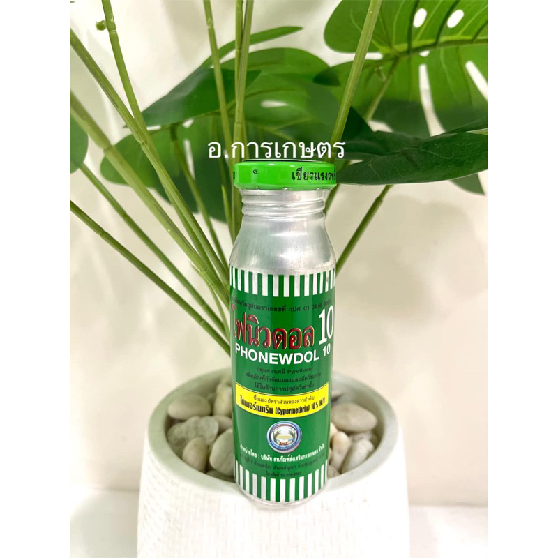 เก็บโค้ตส่งฟรีลดสูงสุด 300 ซุปเปอร์ โฟนิวดอล10 ไซเพอร์เมทริน ขนาด 100cc ตราหวีทอง ยากำจัดมด ปลวก แมลงสาป ยุง แมลงวัน โ