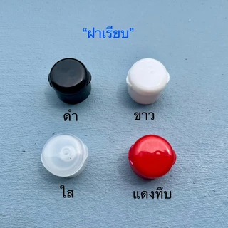(100 ใบ) ขวดแชมพูแบนรีทรงสูง 340 cc พร้อมฝาป๊อกแป๊ก