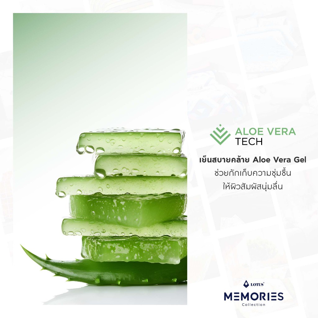 Lotus ชุดผ้าปูที่นอน+ผ้านวม รุ่น MEMORIES ทอ690 เส้นด้าย เทคโนโลยีผ้าถนอมผิว - รูปที่ 2