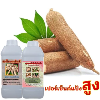 ฮอร์โมนเร่งหัวมันสําปะหลัง ซื้อ 1 ลิตร ฟรี 1 ลิตร