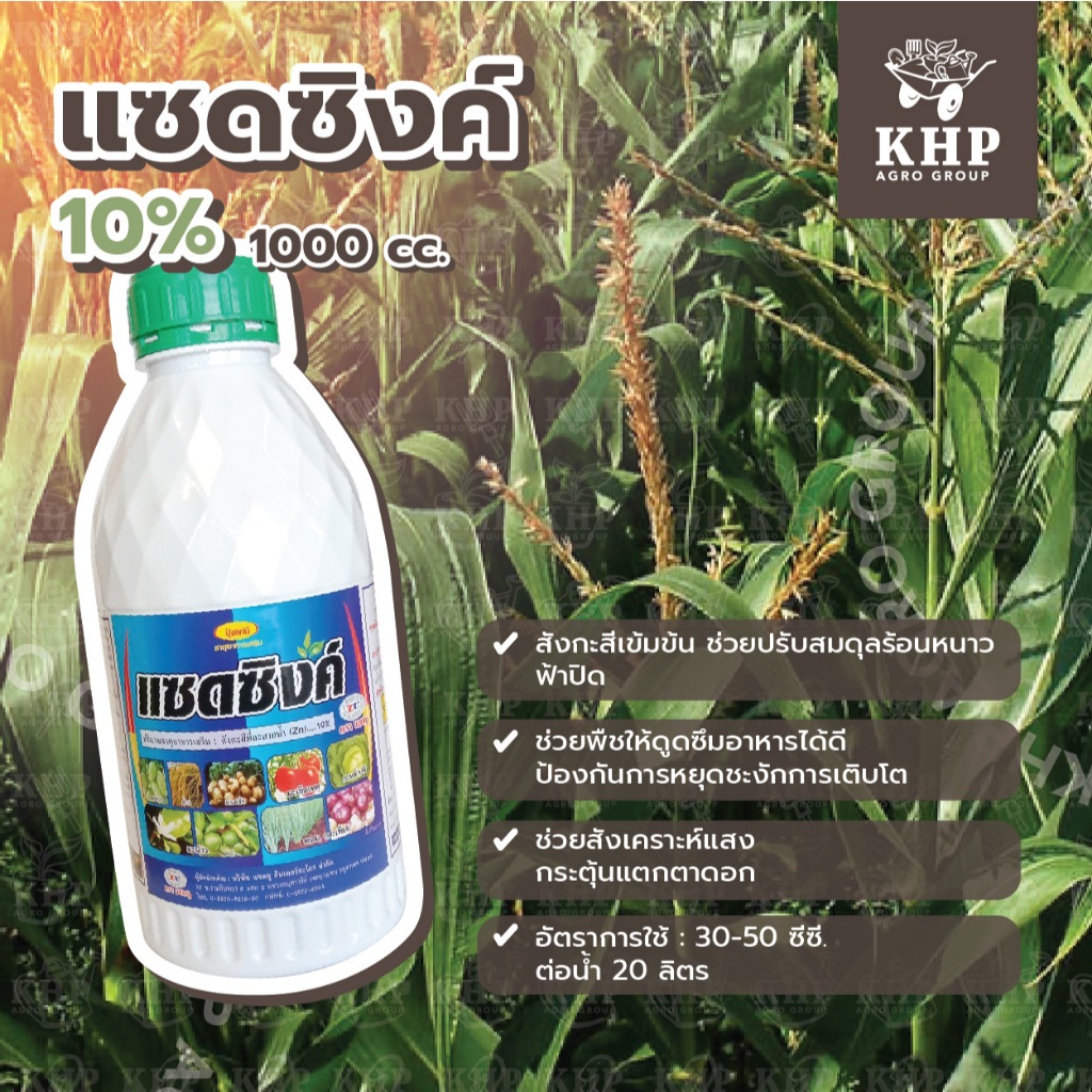 แซดซิงค์ ธาตุอาหารพืช สังกะสีเข้มข้น ปรับสมดุลร้อนหนาว พืชสังเคราะห์อาหารได้ดีต่อเนื่อง แม้ในวันฟ้าปิด ขนาด 1 ลิตร แซดยู
